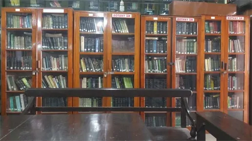 Library2